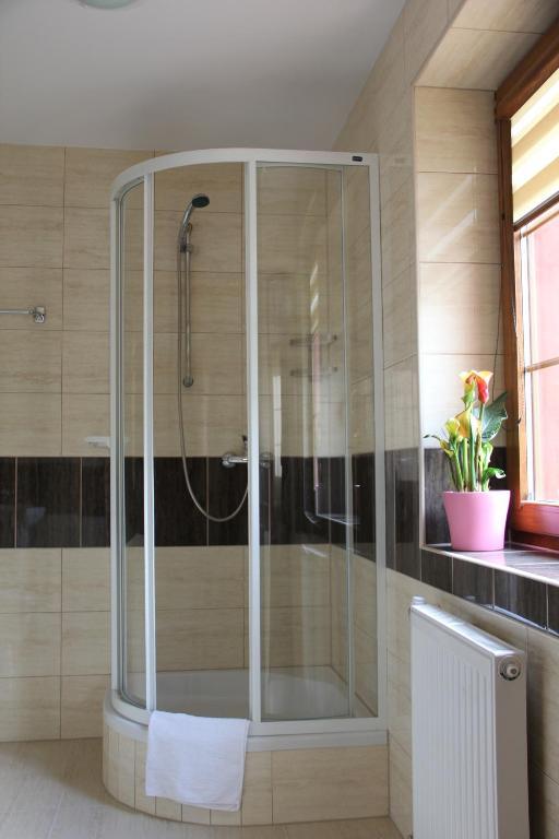 Apartamenty Pod Lwem Świdnica Pokoj fotografie